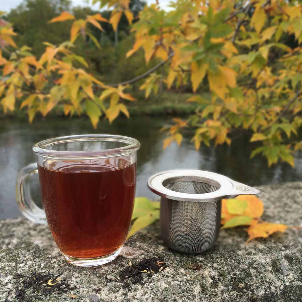 Laval Tea Infuser - Grosche