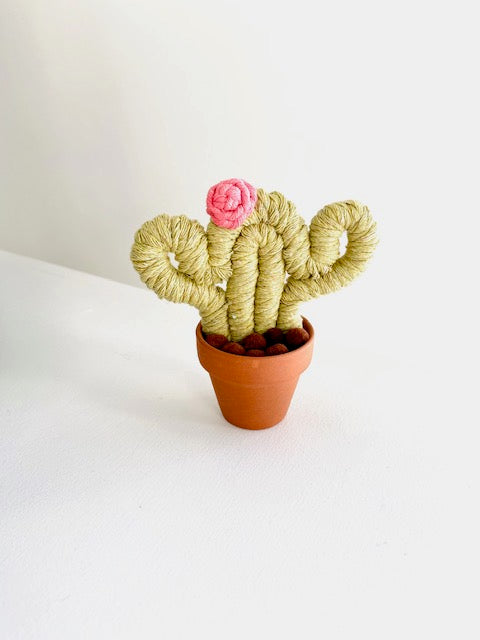 Green Cactus with Flower Hat - ForgetBKnot