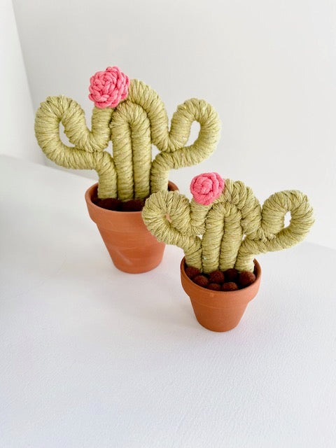 Green Cactus with Flower Hat - ForgetBKnot