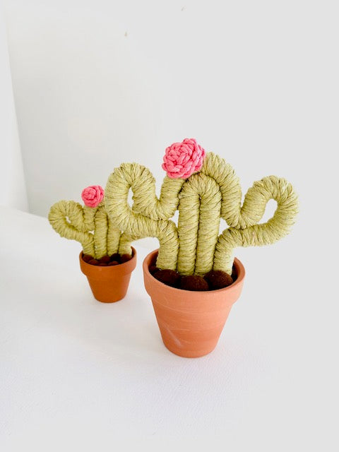 Green Cactus with Flower Hat - ForgetBKnot