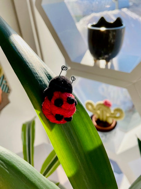 Lady Bug Plant Charm/ Fridge Magnet - ForgetBKnot