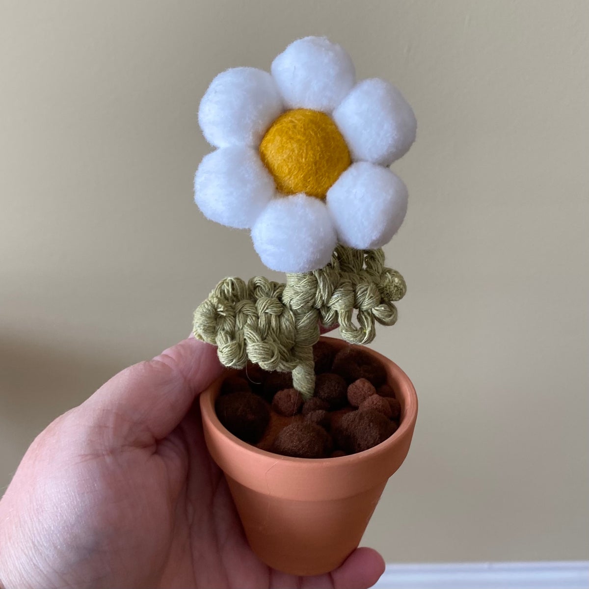 Small Potted Daisy White - ForgetBKnot