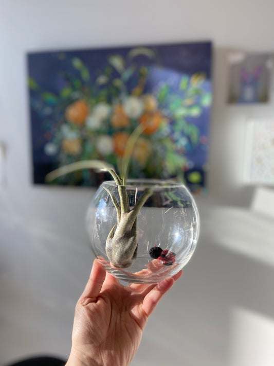 Glass Bubble Vase 6"