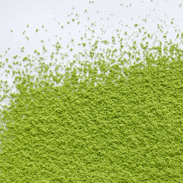 Matcha Sora Green Tea - Powder - Camellia Sinensis